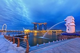 singapore tour