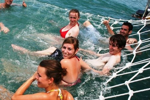 Eco Adventure Day Cruise Tours